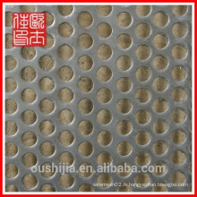 Hot-sale Perforated Metal Sheet / Punching Mesh net / Divers Hole Shapes Pannel